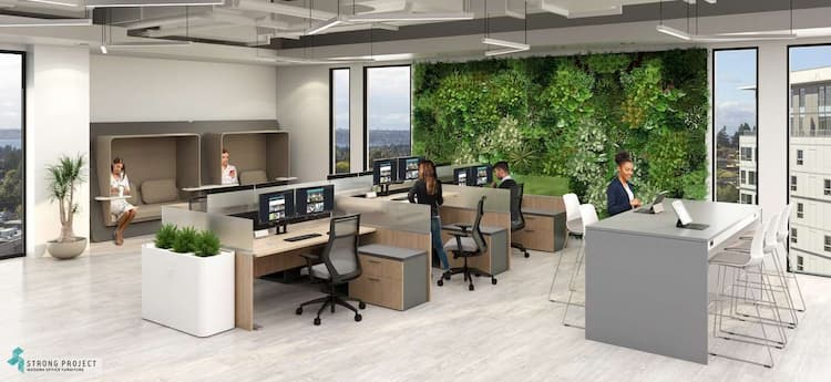 Biophilic Offices: How Green Walls and Plants Lend to Wellbeing in the Workplace